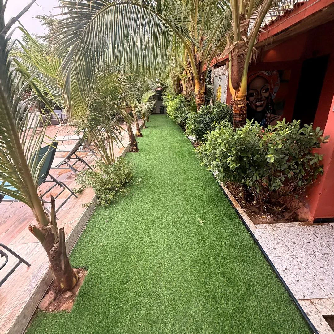 Allée de gazon entre la piscine et les chambres, sous les palmiers